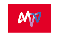 MVV Logo